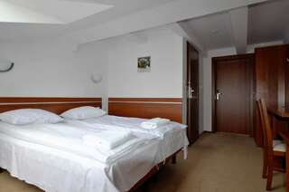 Отели типа «постель и завтрак» Górska Dolina Строне-Слёнске Двухместный номер с 1 кроватью-6