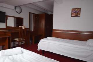 Отели типа «постель и завтрак» Górska Dolina Строне-Слёнске Двухместный номер с 1 кроватью-7