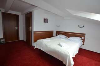 Отели типа «постель и завтрак» Górska Dolina Строне-Слёнске Двухместный номер с 1 кроватью-10
